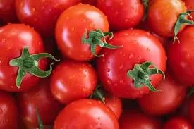 Tomato టొమాటో - Hybrid