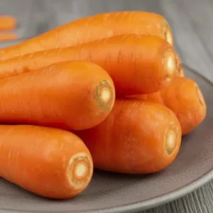 Carrot / క్యారెట్