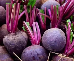 Beetroot