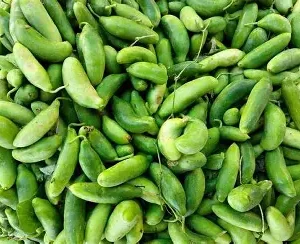 Donda దొండకాయ(local)