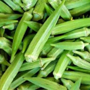 Lady's Finger Hybrid (Okra /బెండకాయ)