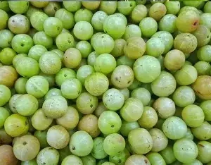 Amla