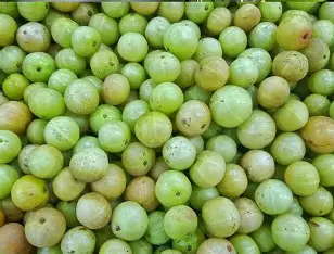 Amla