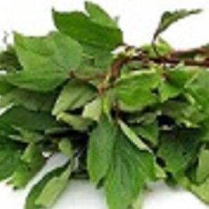 Gongura(గోంగూర)