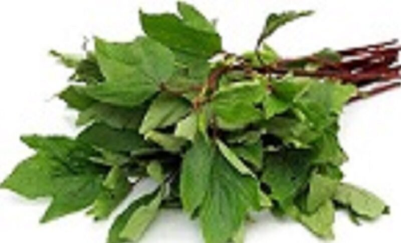 Gongura(గోంగూర)