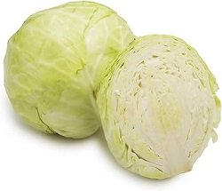 Cabbage