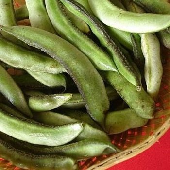 Chikkudukaya