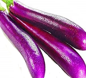 Brinjal - Purple Long